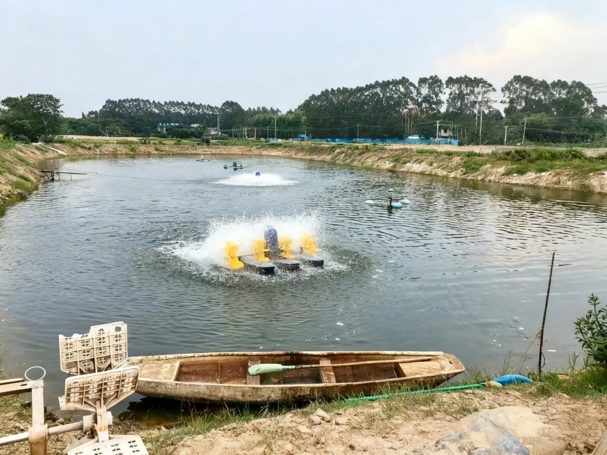 Pictures of Fish Pond After Dredging
