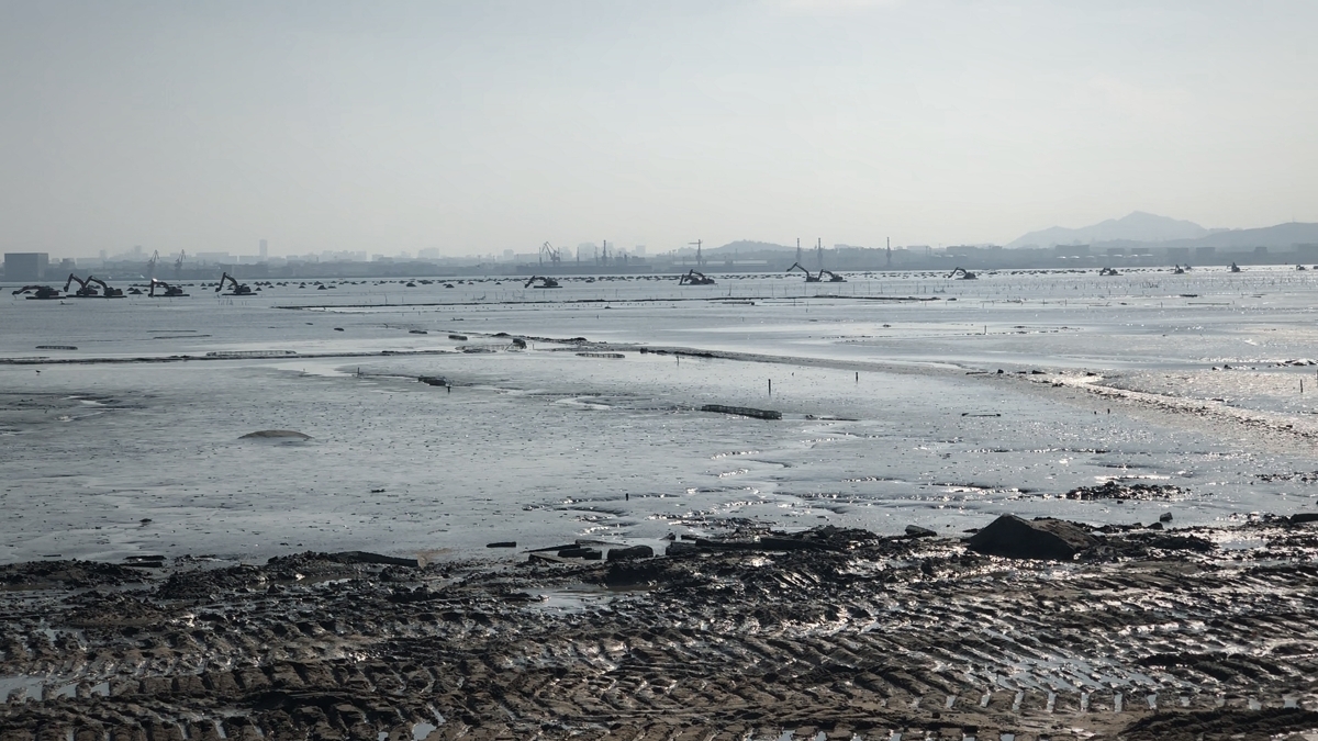 Traditional machinery struggles to operate in deep swamps