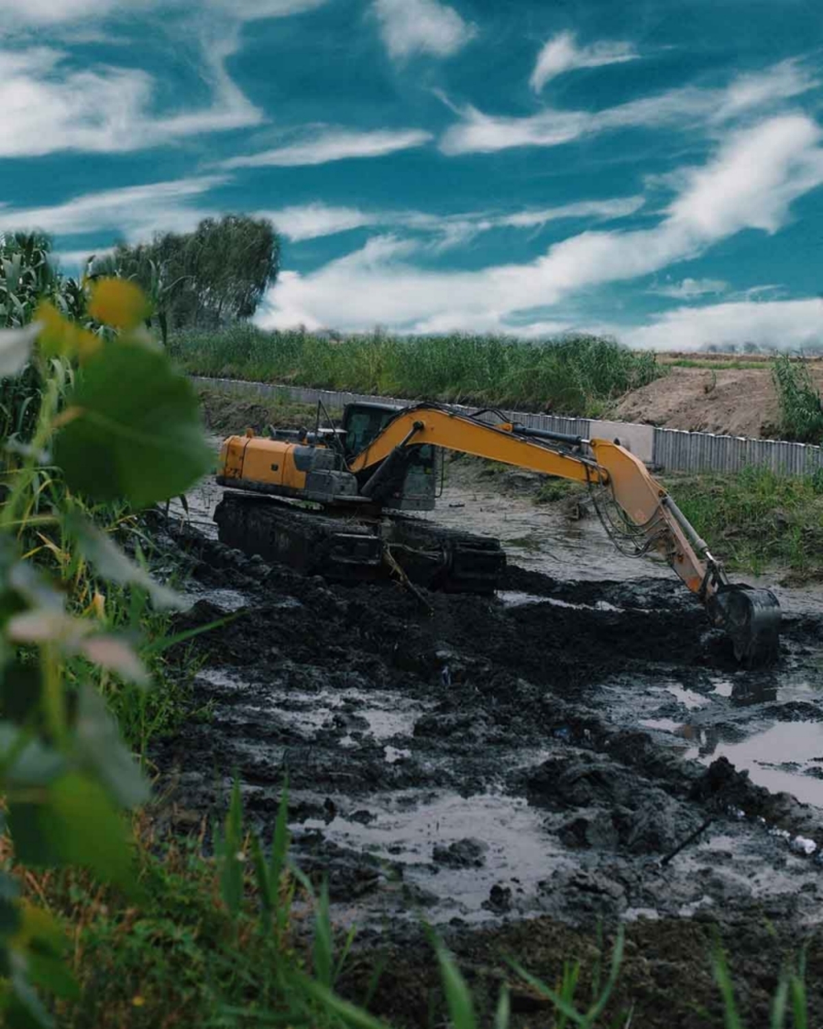 Amphibious Excavator Dredging Silted River Channel