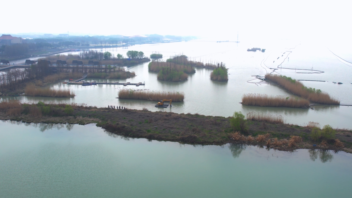 Actual Construction Environment in Shallow Sea Dredging Projects